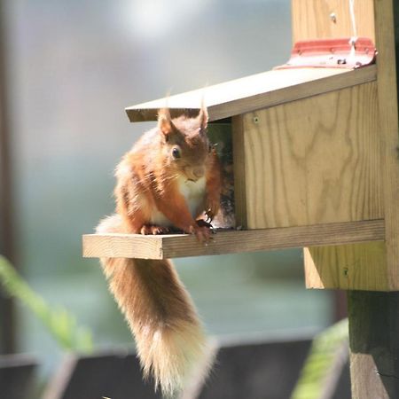 Scafell Hotel 로스웨이트 외부 사진